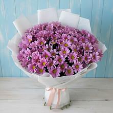 Букет цветов из:  Хризантемы в Донской Балке