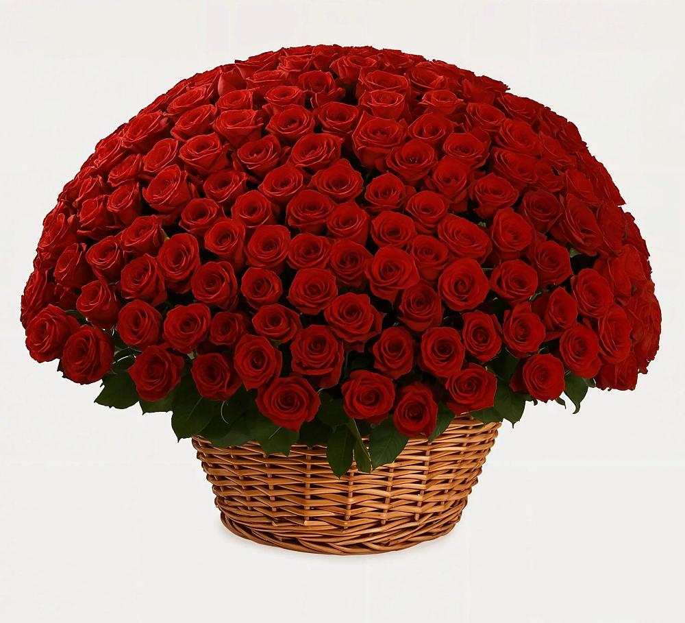 Премиум букет из: Розы в Донской Балке