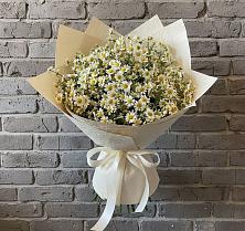 Букет цветов из:  Ромашки в Донской Балке