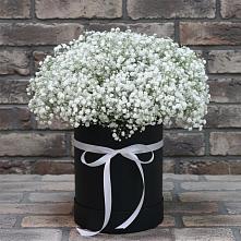 Цветочная композиция из Гипсофила в шляпной коробке в Донской Балке